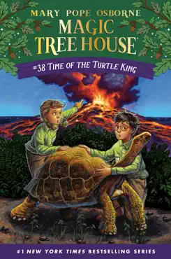 time of the turtle king book cover image
