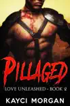 Pillaged synopsis, comments
