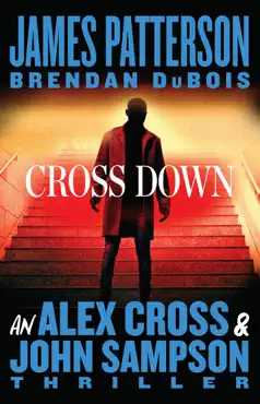 cross down book cover image