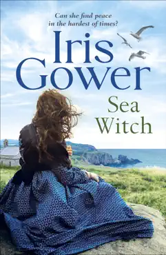 sea witch book cover image