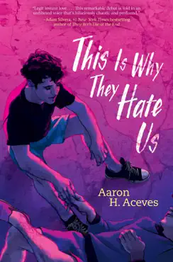 this is why they hate us book cover image