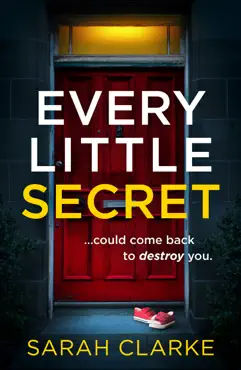 every little secret book cover image