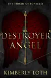 Destroyer Angel synopsis, comments