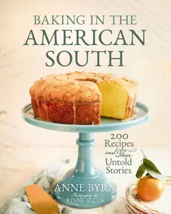 baking in the american south book cover image