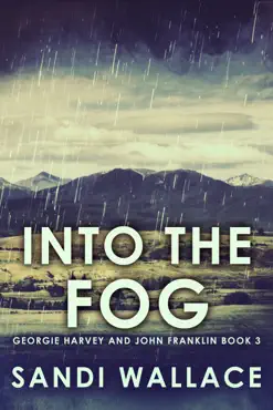 into the fog book cover image