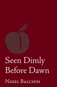 seen dimly before dawn book cover image