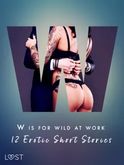 w is for wild at work - 12 erotic short stories book cover image