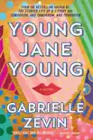 Young Jane Young synopsis, comments
