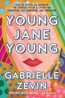 young jane young book cover image