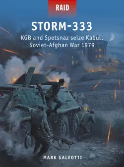 storm-333 book cover image