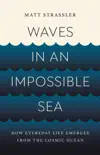 Waves in an Impossible Sea sinopsis y comentarios