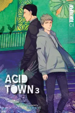 acid town, volume 3 book cover image