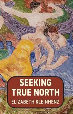 seeking true north book cover image
