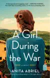 A Girl During the War synopsis, comments