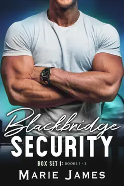 blackbridge security box set 1 book cover image