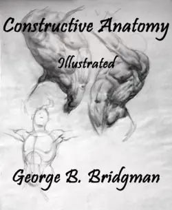 constructive anatomy book cover image
