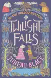 Twilight Falls synopsis, comments