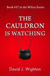 The Cauldron Is Watching synopsis, comments