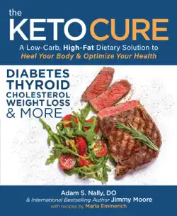 the keto cure book cover image