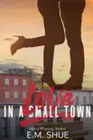 Love In a Small Town synopsis, comments