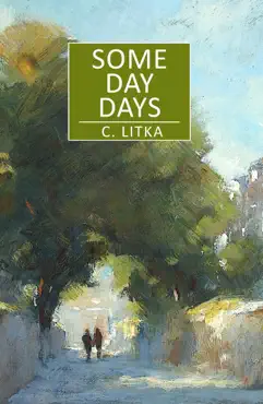 some day days book cover image