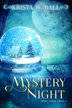 mystery night book cover image