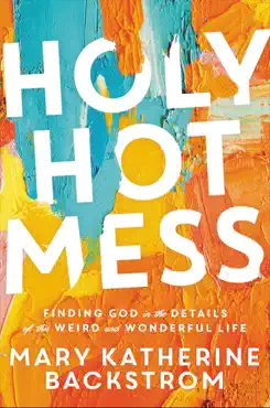 holy hot mess book cover image