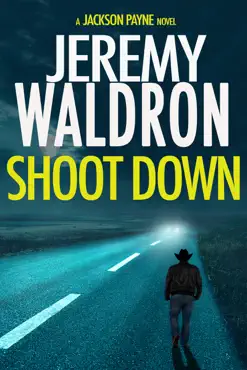 shoot down book cover image