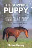 The Surprise Puppy and the Connemara Pony - The Coral Cove Horses Series synopsis, comments