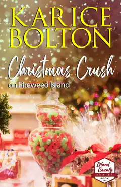 christmas crush on fireweed island book cover image