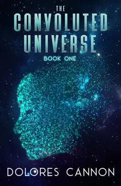 the convoluted universe book 1 book cover image