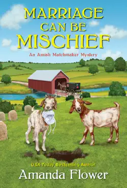 marriage can be mischief book cover image