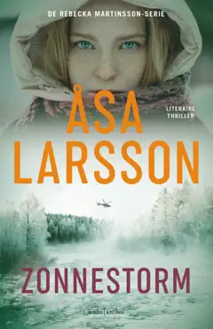 zonnestorm book cover image