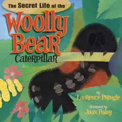 the secret life of the woolly bear caterpillar book cover image