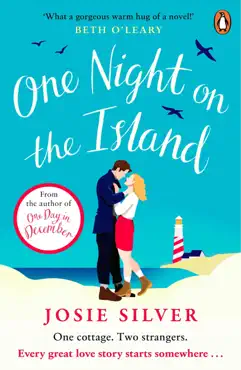 one night on the island imagen de la portada del libro