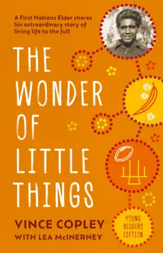 the wonder of little things book cover image