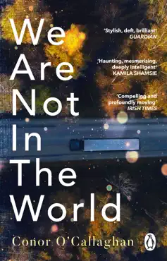we are not in the world imagen de la portada del libro