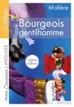 Le Bourgeois gentilhomme synopsis, comments