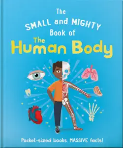 the small and mighty book of the human body book cover image