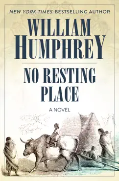 no resting place book cover image