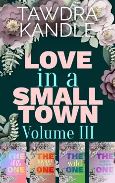 love in a small town box set volume iii book cover image