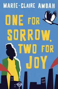 one for sorrow, two for joy book cover image