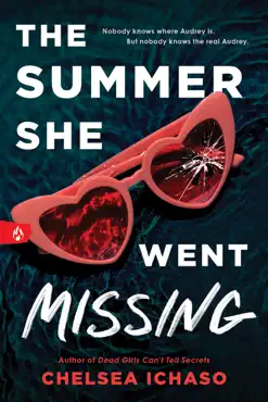 the summer she went missing book cover image