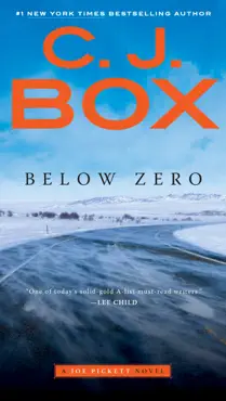 below zero book cover image