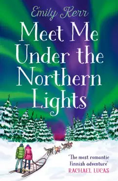 meet me under the northern lights book cover image