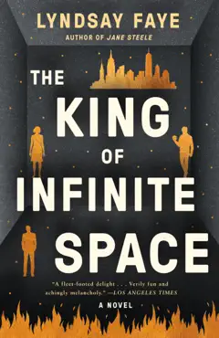 the king of infinite space book cover image