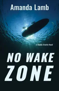 no wake zone book cover image