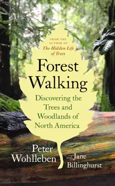 forest walking book cover image