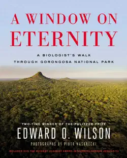 a window on eternity book cover image