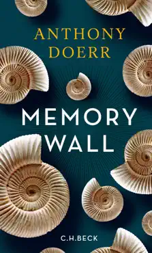 memory wall imagen de la portada del libro